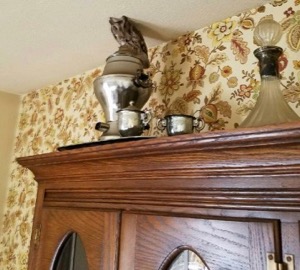 Owl rescued by 911Wildlife