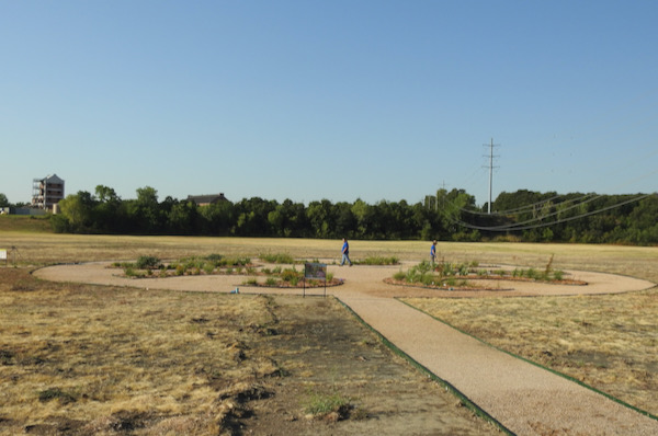 Lake Arlington Spillway Pollinator Garden Photo by Michael Smith.