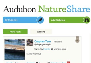 Nature Share