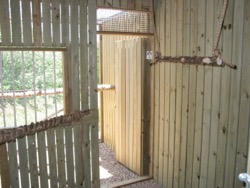 Blackland Prairie Raptor Center mews