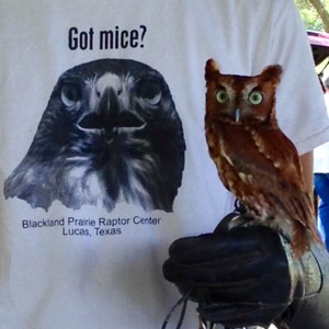 Blackland Prairie Raptor Center t-shirt