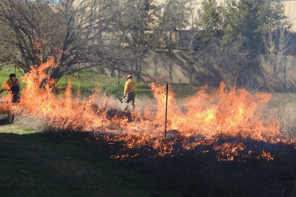 ​Flames jump higher in one area of the burn. Photo by Michael Smith.