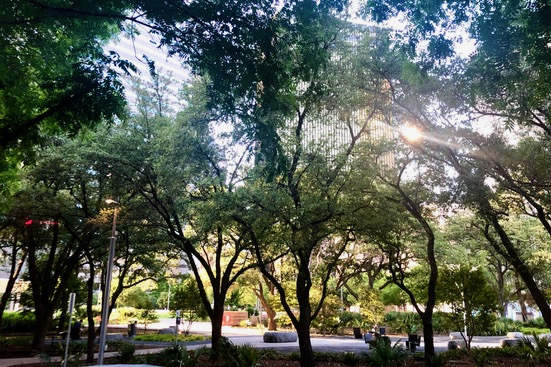Pacific Plaza in Dallas. Photo by Amy Martin. 