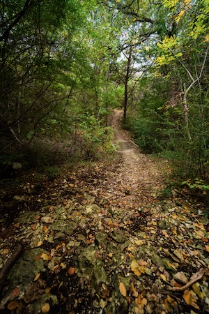 Trail at Big Cedar Wilderness park in Dallas. Photo courtesy of Trust for Public Land.