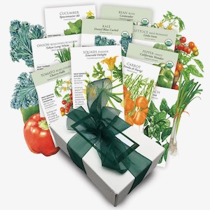 A collection of 10 vegetable seed packs that are easy to grow in containers and small areas. Courtesy of Botanical Interests.