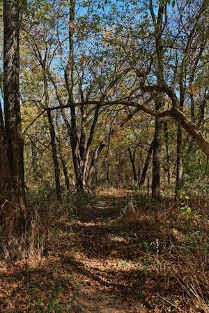 A soft-surface section of the Ned and Genie Fritz Texas Buckeye Trail. Photo by Daniel Koglin from Wild DFW