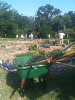Community Gardens of Oak Cliff