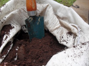 Cafe Victoria coffee grounds compost
