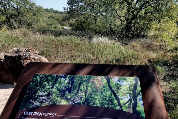 Eastern Cross Timbers at Sheri Capehart Nature Preserve