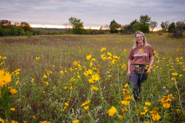 Amy Martin amid Maximilian sunflowers at Parkhill Prairie in Collin County. Photo by Stalin SM.  