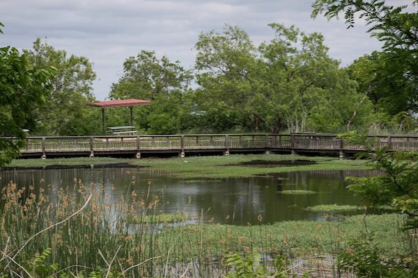 Pond at Cedar Hill State Park. Courtesy of Texas Parks and Wildlife Department.