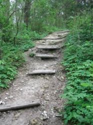 Cedar Ridge Preserve