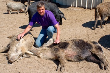Atlasta Home founder Chris Hinterman & pig scratch