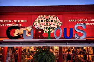 CuriousGarden