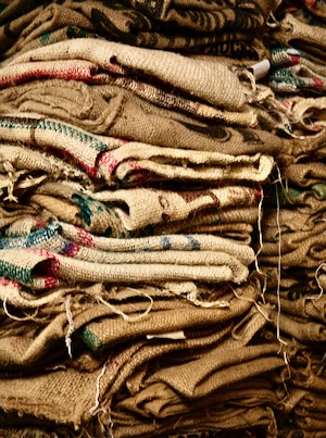 Noble Coyote Coffee burlap bag