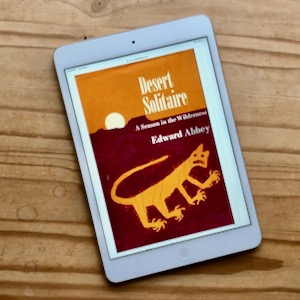 Desert Solitaire