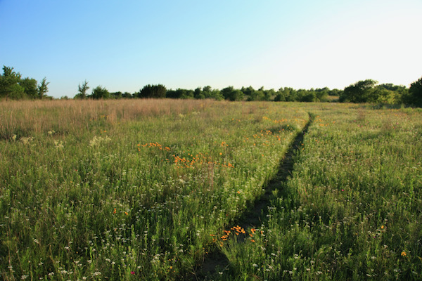 It’s easy to disappear into pioneer days on the Sid Richardson tract. Photo by Chris Emory/Wild DFW.