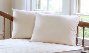 Dolphin Blue Natural Healthy Bedroom cotton pillows