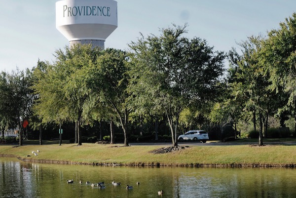 Providence pond with ducks