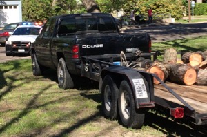Eastwood tree vandalized