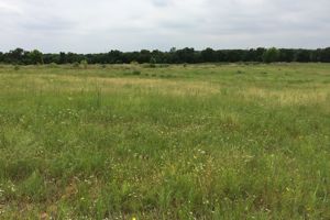 Fort Worth Nature Center prairie