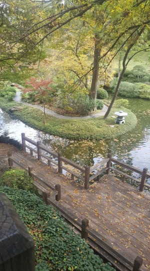 Fort Worth Japanese Gardens