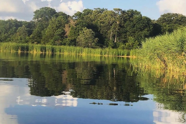 Fairfield Lake State Park. Photo courtesy of TPWD.