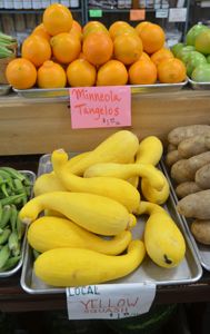 Farmers Market of Grapevine squash
