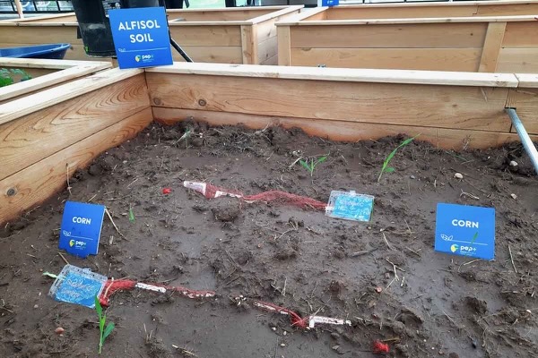 The soil bin tests degradation in the environment in various soil types. Photo by Marshall Hinsley