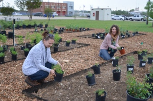 GSA BRIT partnership
