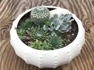 Painted Flower succulent pot