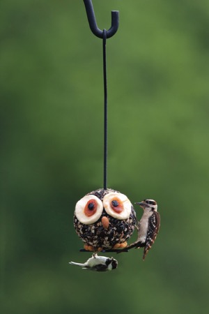 Wild Birds Unlimited seed ball
