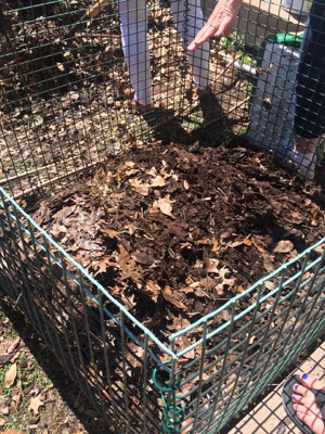North Lake College Community Garden compost