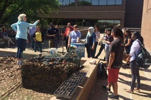 North Lake College community garden
