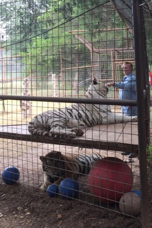 IEAS Louis Dorfman with two big cats