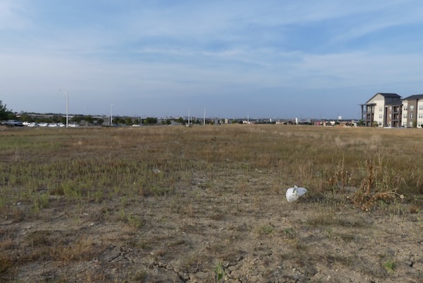 Some of the jackrabbits spend their days in this field that is scheduled for development. Photo by Michael Smith.