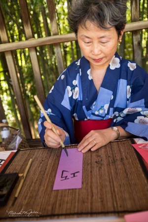 Japanese Spring Garden Festival
