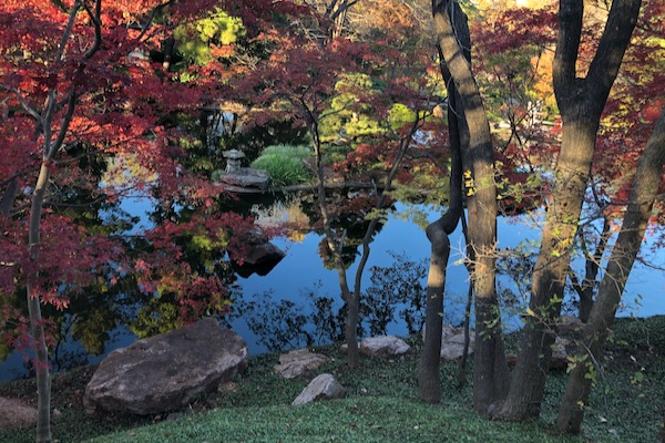 Japanese Garden in Fort Worth