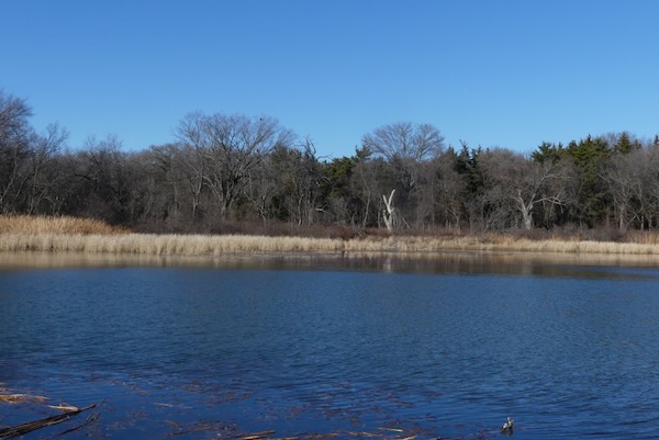 Black Creek Lake (Unit 47) seen in winter. Photo by Michael Smith.