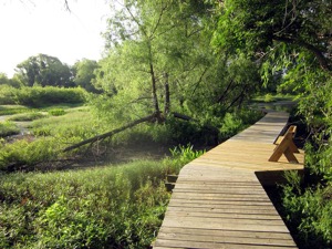 LLELA Bittern Marsh Trail