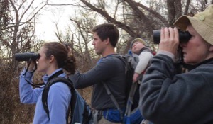 LLELA birders