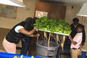 Lancaster Middle School aquaponics