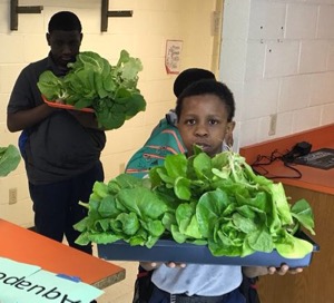 Lancaster Middle School aquaponics