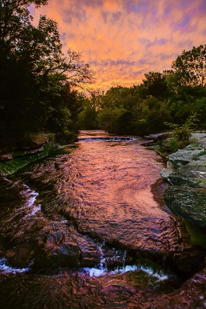 10-Mile Creek runs through the heart of the Ladd Nature Preserve.