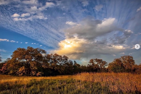 A blackland prairie restoration is planned for the Ladd Nature Preserve. Photo by Mark Graham. 