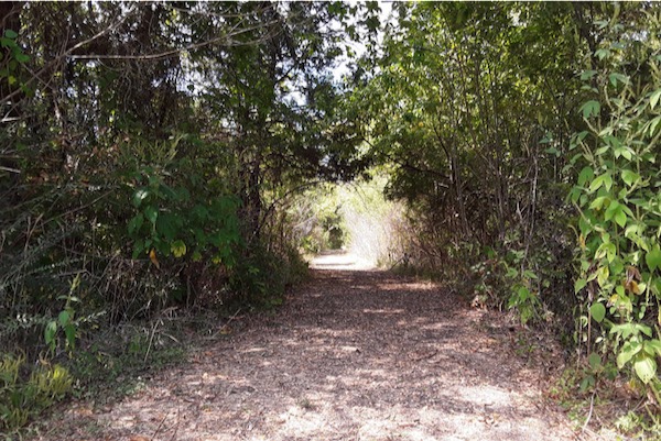 Ladd natural area in Duncanville. Photo by Jeremy Koonz.