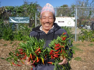 Gardeners in Community Development
