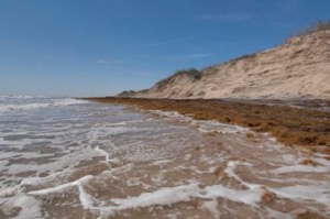 Disappearing beach at Padre Island
