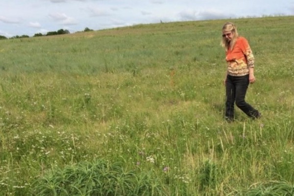 GSDFW reporter Amy Martin peruses the prairie remnant at Chisholm Trail Community Park in Fort Worth. Photo by Scooter Smith. 