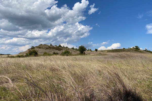 LBJ National Grasslands